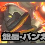 盤岳　性能　解説