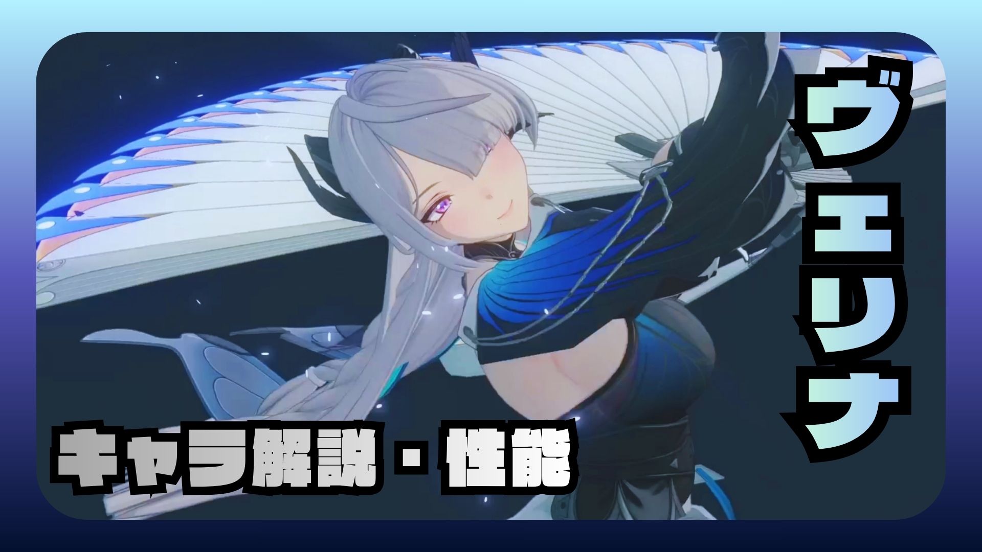 ヴェリナ　性能　解説